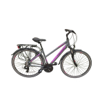 Capriolo Roadster Lady 1.0 női trekking kerékpár 19" Grafit