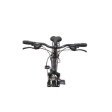 Capriolo Roadster Lady 1.0 női trekking kerékpár 19" Grafit