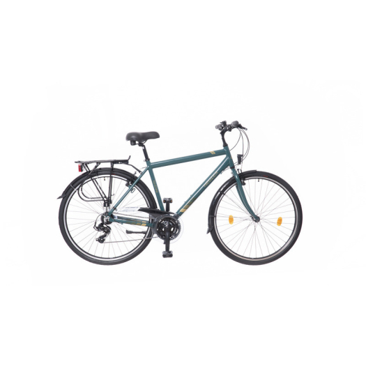 Neuzer Ravenna 50 férfi 21" trekking kerékpár Zöld