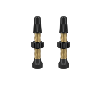 WTB Tubeless szingó szelep garnitúra [34 mm]
